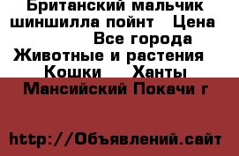 Британский мальчик шиншилла-пойнт › Цена ­ 5 000 - Все города Животные и растения » Кошки   . Ханты-Мансийский,Покачи г.